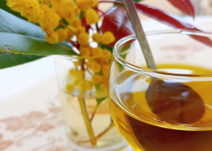 La Fetuseria Bistrot & Camere Senigallia